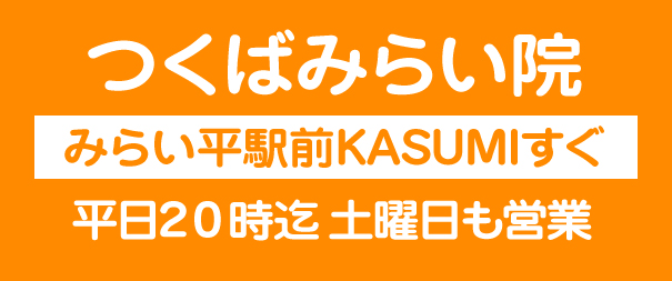 つくばみらい院